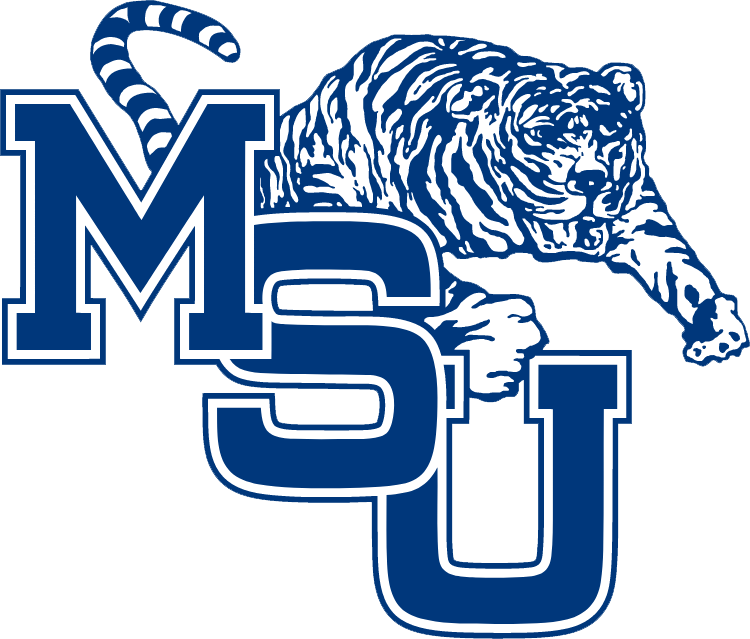 Memphis Tigers 1979-1989 Alternate Logo iron on transfers for T-shirts